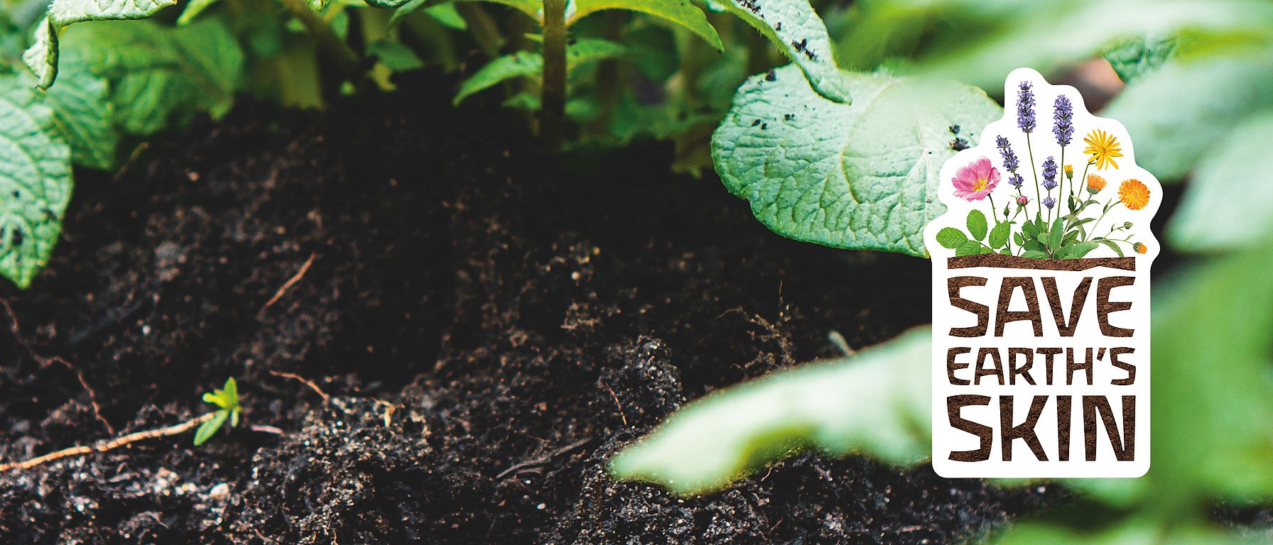 soil and leaves