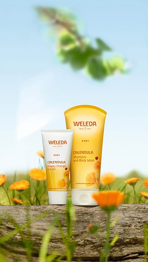 Hand holding Skin Food Lip Balm