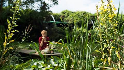 weleda garden